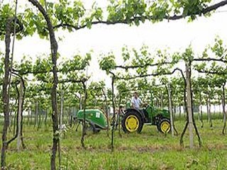 tractor (57)